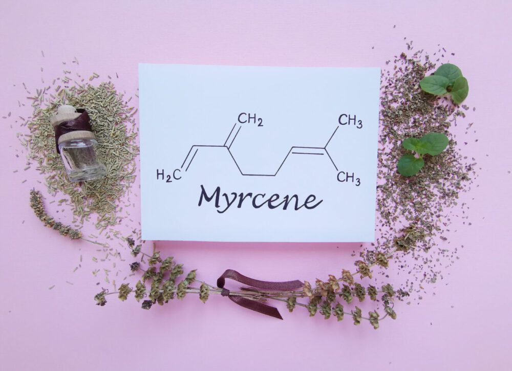 Cannabeginners: What is Myrcene? | High Times