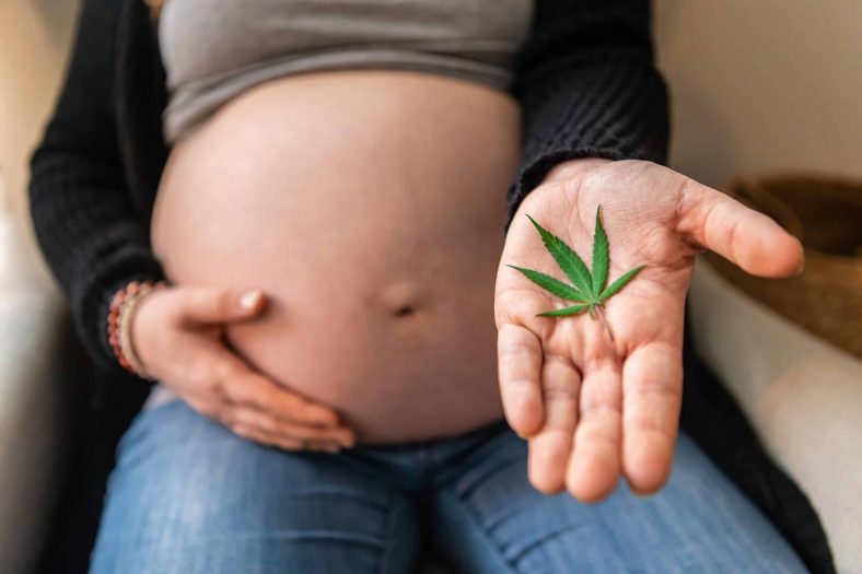 Does Cannabis Have a Negative Impact on Fertility?