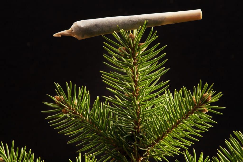 Top 7 Cannabis Christmas Gifts in 2023