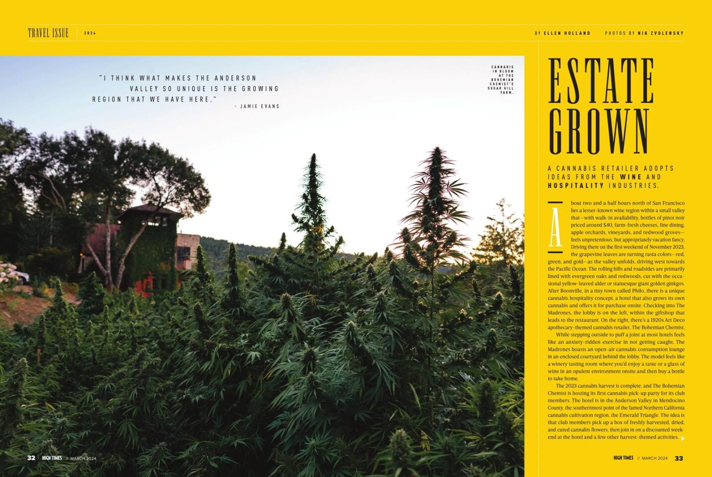 Estate Grown | High Times