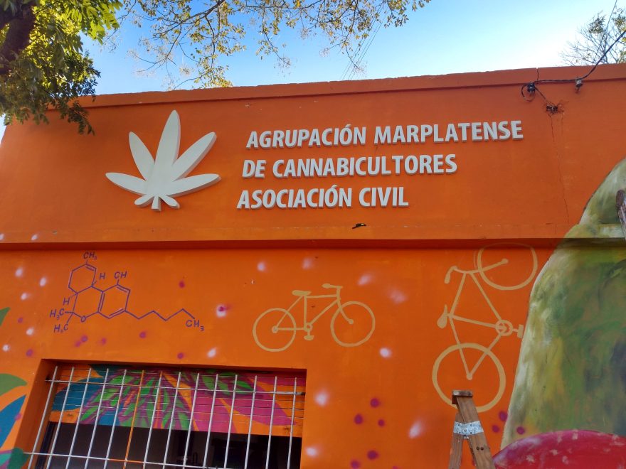 agrupación marplatense de cannabicultores