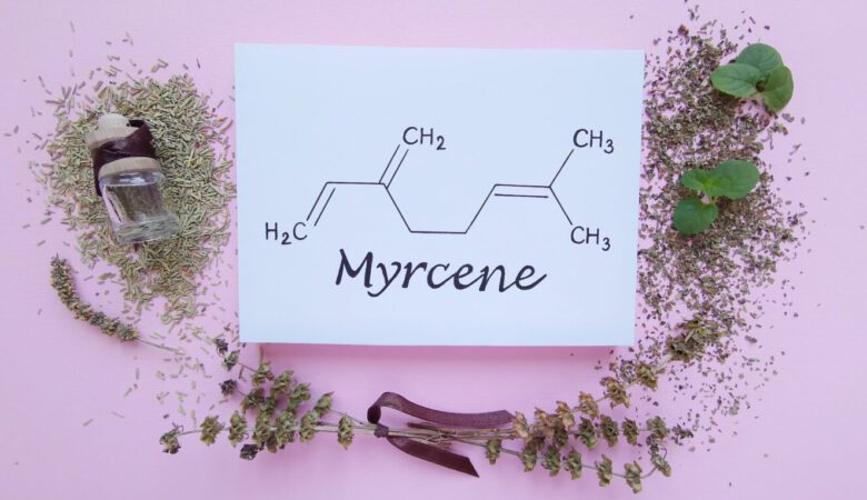 Cannabeginners: What is Myrcene? | High Times