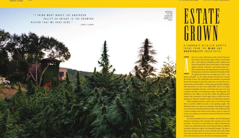 Estate Grown | High Times