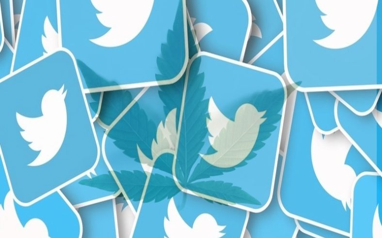 In a Social Media First, Twitter Will Allow Cannabis Advertising